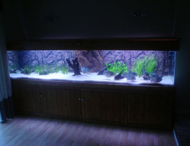 370 gallons planted tank (mostly live plants and fish) - 370 gallon tank, 118" length x 30" depth x 24" height 370 gallons planted tank (mostly live plants and fish) - 370 gallon tank, 118" length x 30" depth x 24" height