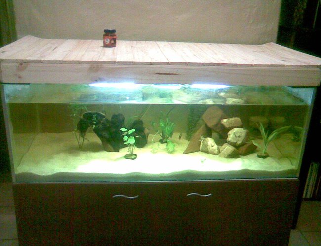 70 gallons planted tank (mostly live plants and fish) - Tank is 1 Month old, Planted waiting for tank to growin 70 gallons planted tank (mostly live plants and fish) - Tank is 1 Month old, Planted waiting for tank to growin