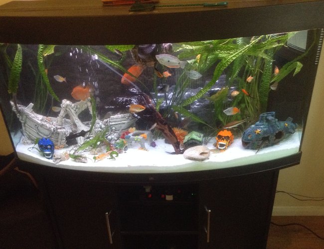 400 gallons planted tank (mostly live plants and fish) - My tank pleas tell me what you think thank you 400 gallons planted tank (mostly live plants and fish) - My tank pleas tell me what you think thank you