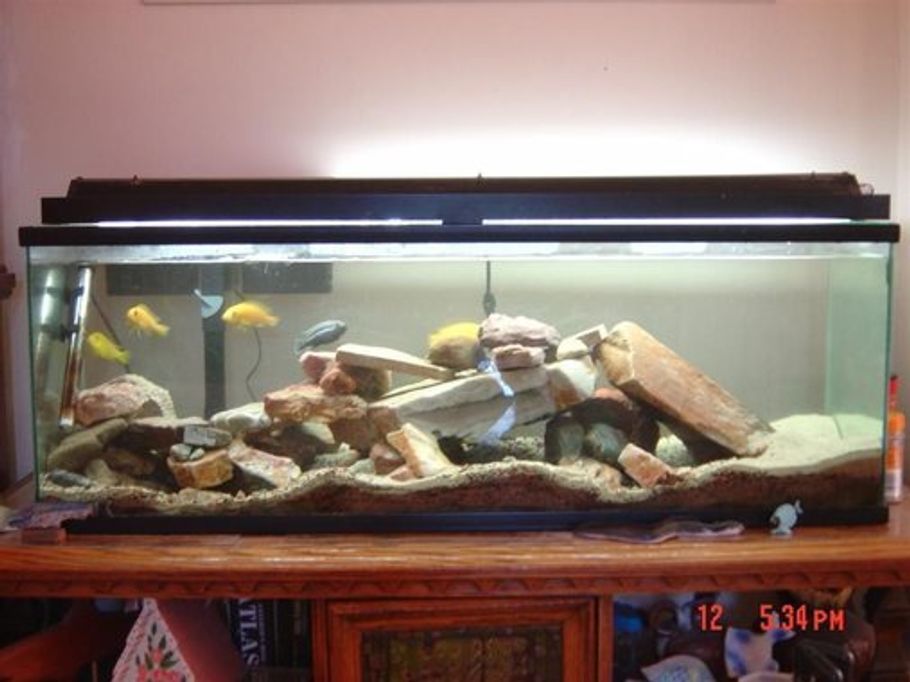 Using Carbon in a Freshwater Aquarium Using Carbon in a Freshwater Aquarium