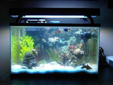 how has technology changed the aquarium hobby ratemyfishtank com
