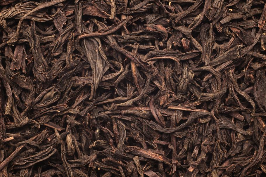 Blackwater Aquariums: How Tannins Improve Fish Health and Reduce Stress