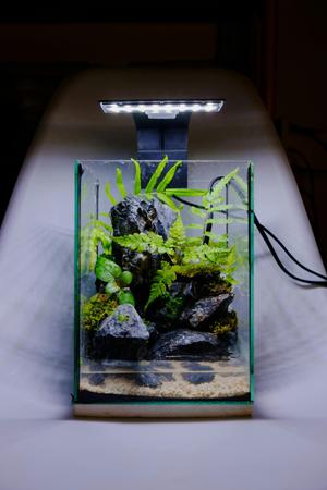 Nano & Pico Ecosystems for Urbanites