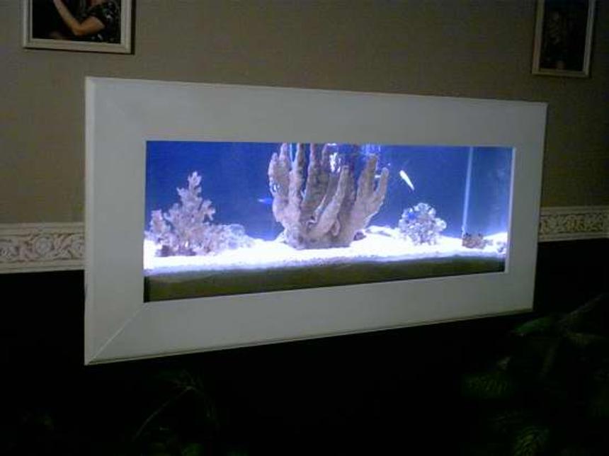 Rated #126: Saltwater Fish Tank
