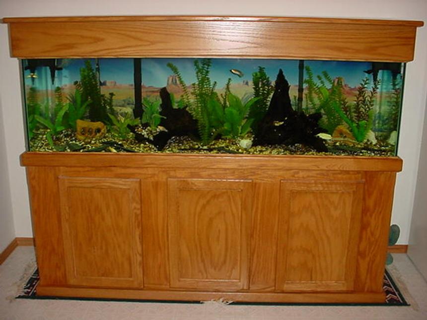 Rated #1844: 125 Gallons Freshwater Fish Tank - 125 Gal.