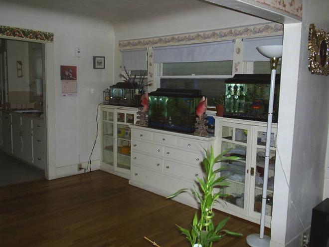 freshwater fish tank (mostly fish and non-living decorations) - I have Four fresh Water fish tanks, and I really enjoy all that I do with them. I have Chiclids, Angel Fish, Tertras, Tiger Barbs, Catfish, Upside Down swimming catfish, a Bass, Pleacatmous