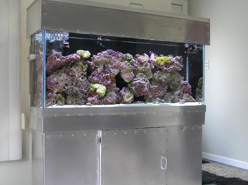 Rated #444: Reef Tank