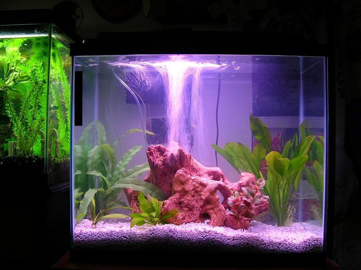 45 gallons freshwater fish tank (mostly fish and non-living decorations) - my tanks..... 2 of them 20 gal, 25 gal.