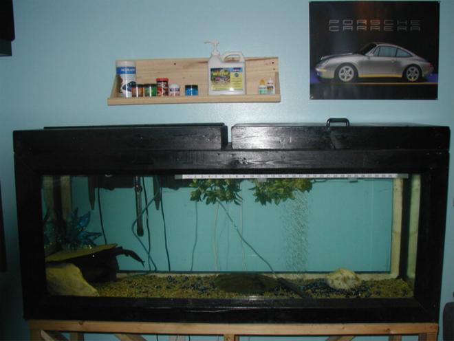 120 gallons freshwater fish tank (mostly fish and non-living decorations) - my 120g tank