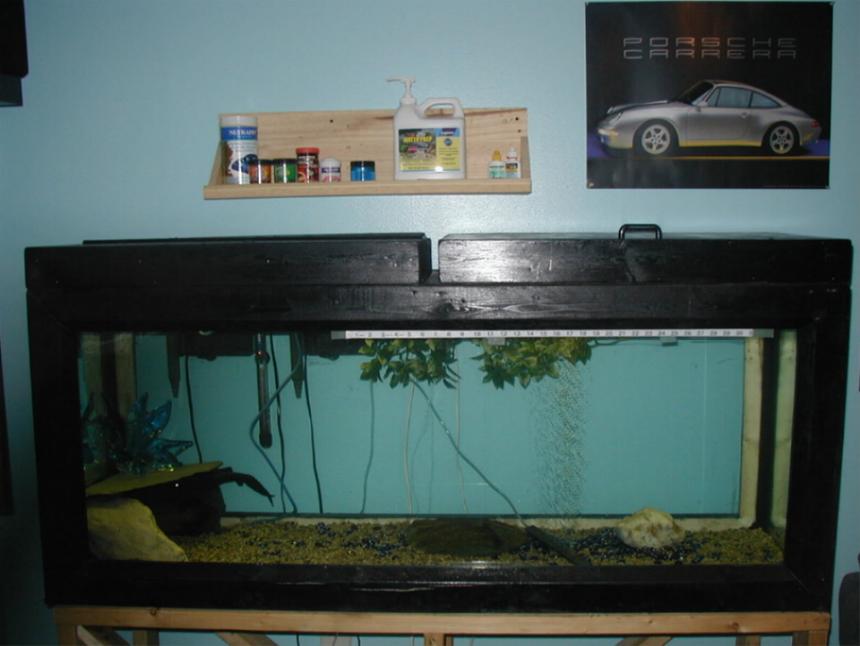 Rated #4324: 120 Gallons Freshwater Fish Tank - my 120g tank