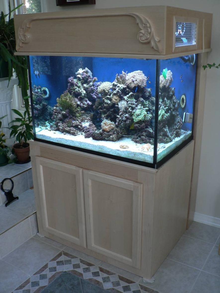 Rated #71: 83 Gallons Reef Tank - Full stand and tank shot.