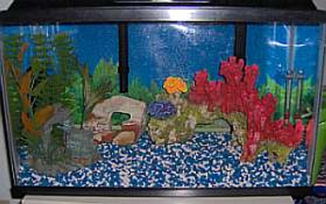 29 gallons freshwater fish tank (mostly fish and non-living decorations) - my 10 gal.   i used 2 filters on it becouse i had several fish, but i have moved them to my 29 gal.