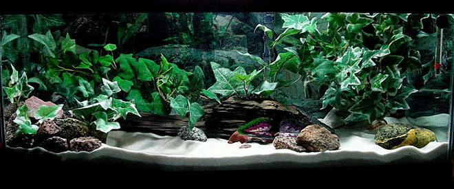 20 gallons freshwater fish tank (mostly fish and non-living decorations) - If you do not give this tank a high rating please tell me why and what you think it needs.. Thanks.