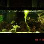 75 gallons saltwater fish tank (mostly fish, little/no live coral) - new photo