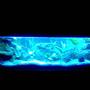 fish tank picture - 4ft tank at night