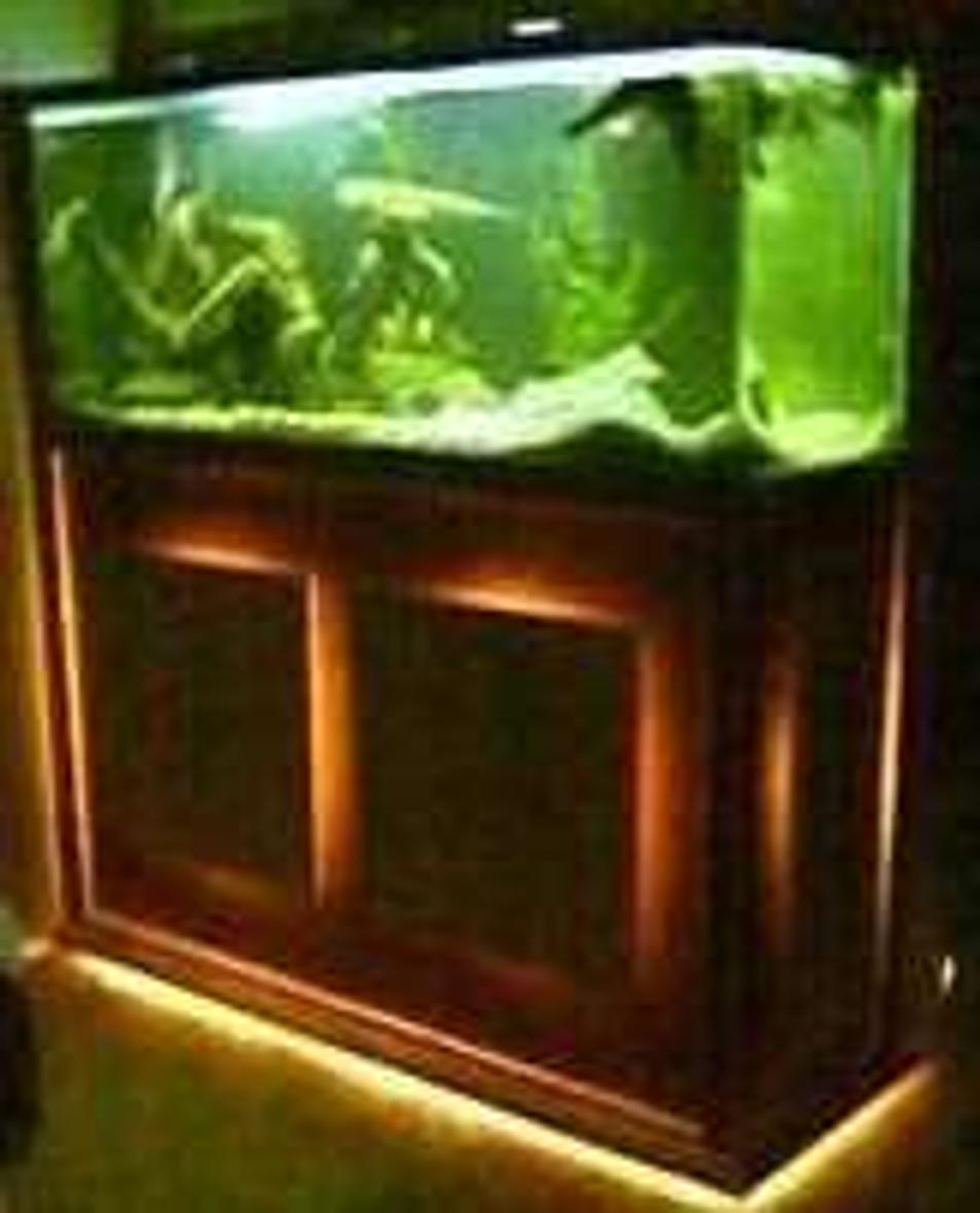 120 gallons freshwater fish tank (mostly fish and non-living decorations) - 120 gallon tank custom stand