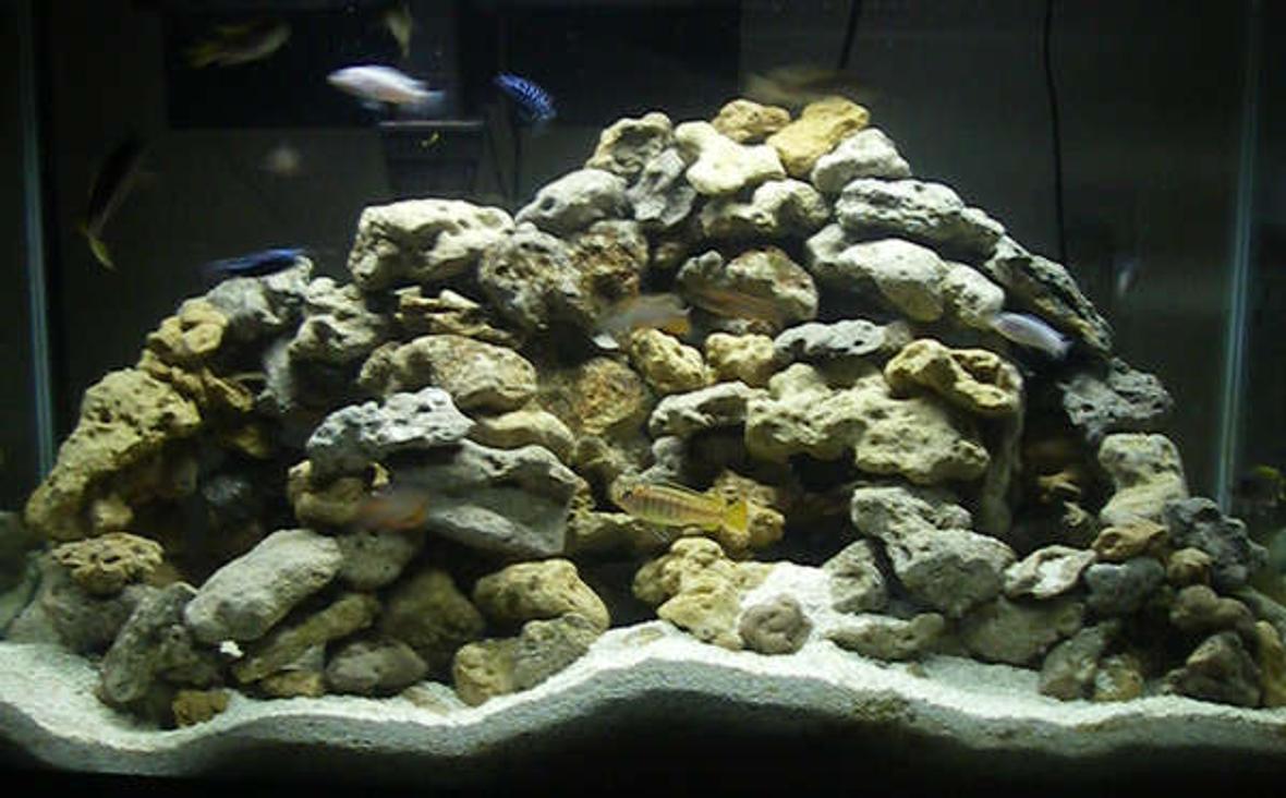 29 gallons freshwater fish tank (mostly fish and non-living decorations) - 29 gallon African tank. Standard lighting, penguin 400 bio filter. Important run tank light in 4 hour shifts to avoid algae problems. I will be moving my fish to a 55 gallon when they grow.