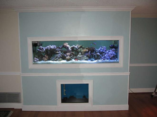 160 gallons reef tank (mostly live coral and fish) - Full view if my 125 inwall with a 55 gallon sump/and 27 gallon refugium viewable