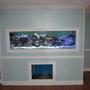 160 gallons reef tank (mostly live coral and fish) - Full view if my 125 inwall with a 55 gallon sump/and 27 gallon refugium viewable