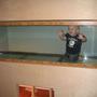 fish tank picture - Son in tank for size Refferance