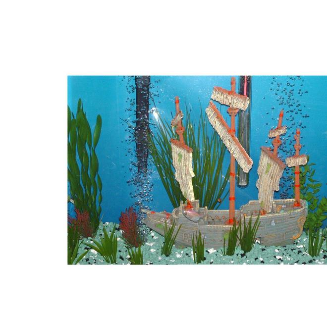 30 gallons freshwater fish tank (mostly fish and non-living decorations) - First picture of my son and I's  30 gal. with some various Tetra too! look forward to more and better quality pics.