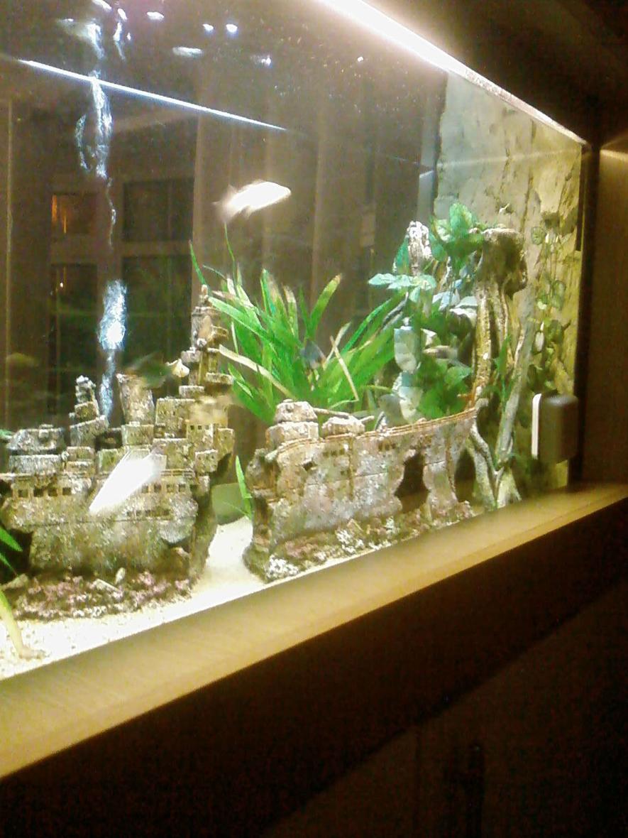 Rated #2342: 300 Gallons Freshwater Fish Tank - close up