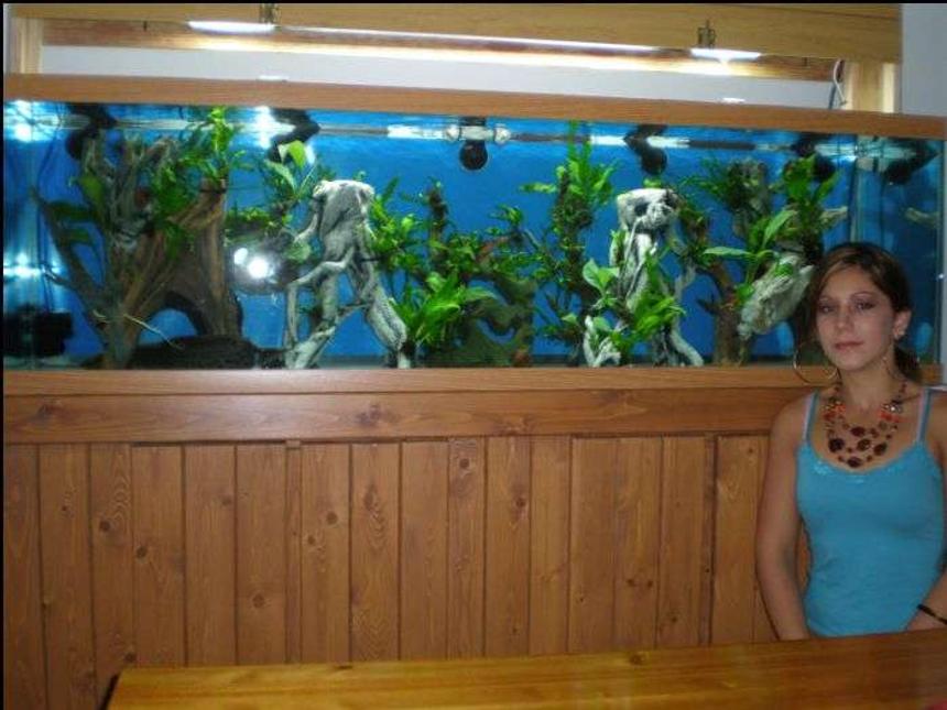 Rated #1508: 125 Gallons Freshwater Fish Tank - 125g