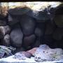 20 gallons freshwater fish tank (mostly fish and non-living decorations) - Lake Malawi Mbuna Tank