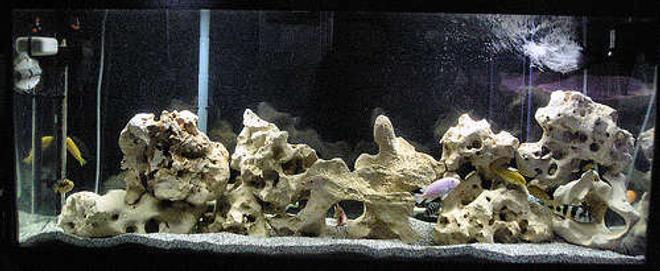 210 gallons freshwater fish tank (mostly fish and non-living decorations) - 55gallon African Cichlid Tank

Note: Those are air bubbles in the top right rather than scratches.