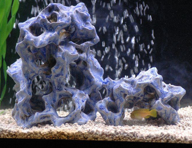 freshwater fish stocking in 55 gallons tank - I have a lot of these ceramic pieces in my tank. I Think they look awesome and the fish seem to enjoy them.

Tom's Aquatic Ceramics
It is handmade, has no lead, and the color will NEVER fade or scrub off
Made in Bemidji MN

Note: I am not Tom. I just like his work