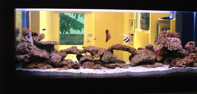 150 gallons saltwater fish tank (mostly fish, little/no live coral) - 4 Months Earlier:
Saltwater Fish Tank with Coral Rock:
1 x Batfish, 4 x Clown Fish, 2 x Blue Damsel, 1 x Moon Wrasse, 1 x Tear Drop Butterfly, 1x MaroonClown Fish, 
1x Heniochus Butterfly, 
1 x Blue Hippo  Tang, 
1 x Lemon Damsel, 1 x Red Coris Wrasse, 1 x Copper Banded Butterfly, Yellow Belly Damsel