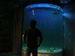view more best photos of variety 3500 gallons tank 