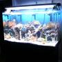 fish tank picture - Topless tank