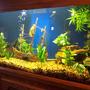 fish tank picture - View 2