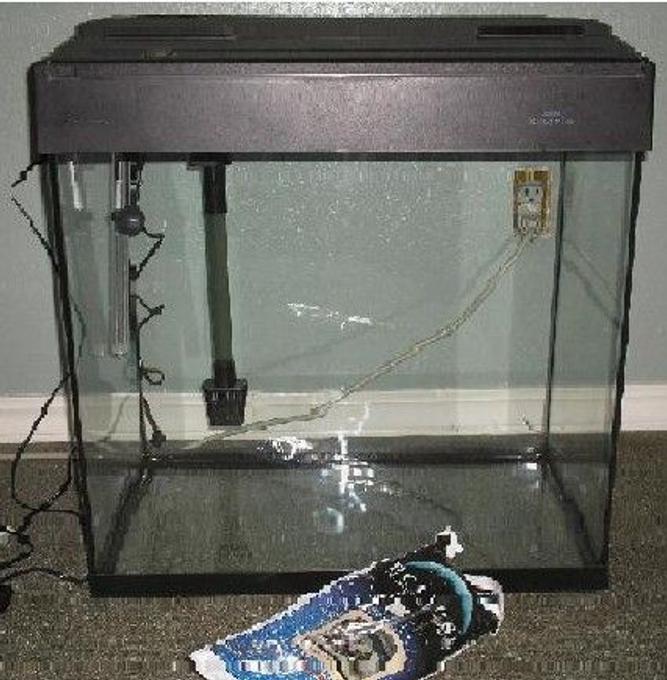 25 gallons reef tank (mostly live coral and fish) - On its way to being a saltwater tank
