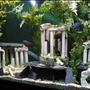 110 gallons freshwater fish tank (mostly fish and non-living decorations) - The 110gallon Forgotten Atlantis