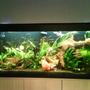 150 gallons planted tank (mostly live plants and fish) - my tank is a fluval roma 240 running on ro water 2 fliters on external 305 fluval and an internal 3plus. using planted substrate gravel . i add flertiser once a week and feed once a day. blood worm every other day.
