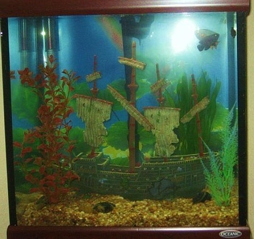 Rated #3974: 30 Gallons Freshwater Fish Tank - Shipwrecked