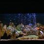 75 gallons freshwater fish tank (mostly fish and non-living decorations) - another one