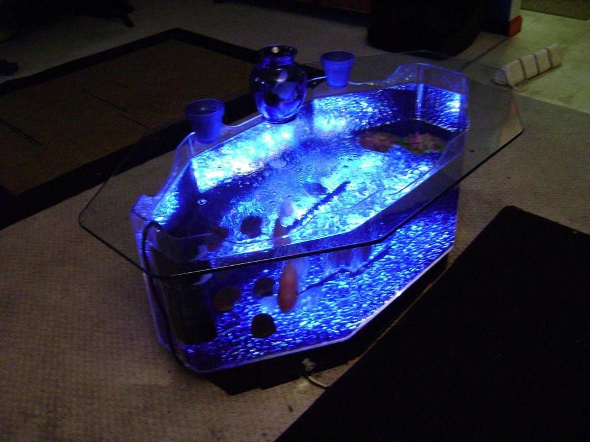 120 gallons freshwater fish tank (mostly fish and non-living decorations) - Coffee Table 40g RED DEVIL