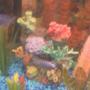 freshwater fish - pseudotropheus demasoni - demasoni cichlid stocking in 30 gallons tank - pic