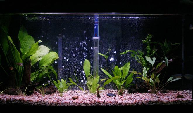 30 gallons planted tank (mostly live plants and fish) - After the plastic