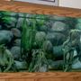fish tank picture - 75 gallon