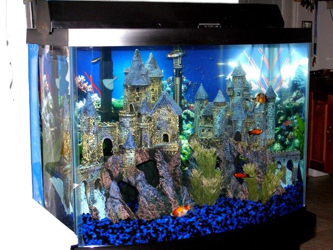 28 gallons freshwater fish tank (mostly fish and non-living decorations) - Medieval Village - 28 G Bowfront