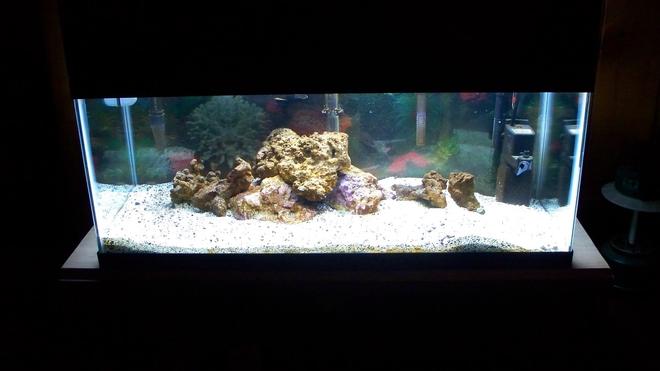 20 gallons saltwater fish tank (mostly fish, little/no live coral) - yes there's water in there
