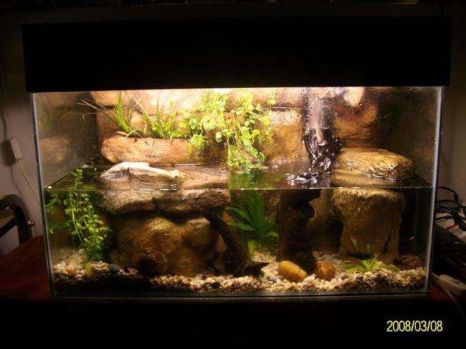 30 gallons planted tank (mostly live plants and fish) - A 2' 20 Gallon "Paludarium" type tank with DIY rock background,  made from styrofoam and concrete. 

Home to 3 juvenile African/Atlantic Mudskippers and 5 Dalmation Mollies.

Includes:
Powerhead driven waterfall
DIY CO2
DIY Plywood canopy
2 x 14W CF