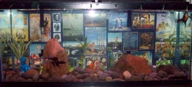 55 gallons planted tank (mostly live plants and fish) - Our 55gal. In all its Glory.