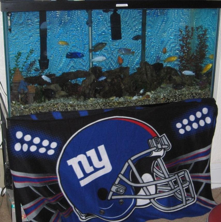 Rated #3982: 90 Gallons Freshwater Fish Tank - my tank