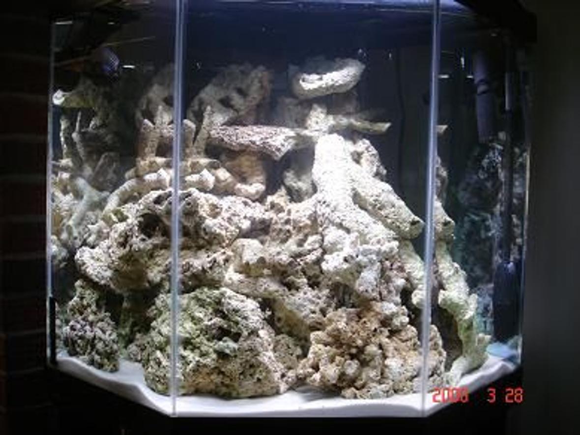 45 gallons saltwater fish tank (mostly fish, little/no live coral) - 70 lbs rock curing