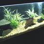 90 gallons planted tank (mostly live plants and fish) - 4ft tank built into the wall